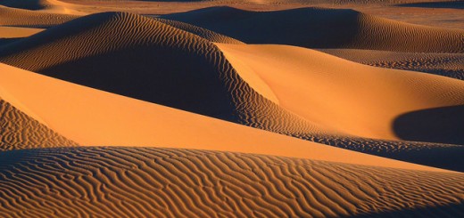 dunemaroc